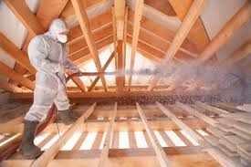 Best Attic Insulation Installation  in Red Bud, IL